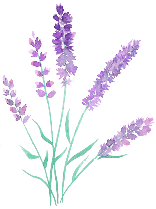 sprigs_lavender2 | Gardening Junky