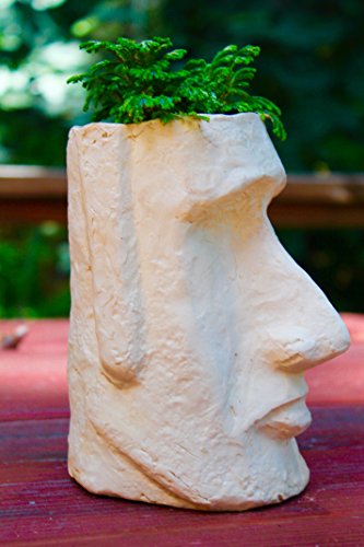 Easter-Island-Head-Planter-0-1 | Gardening Junky