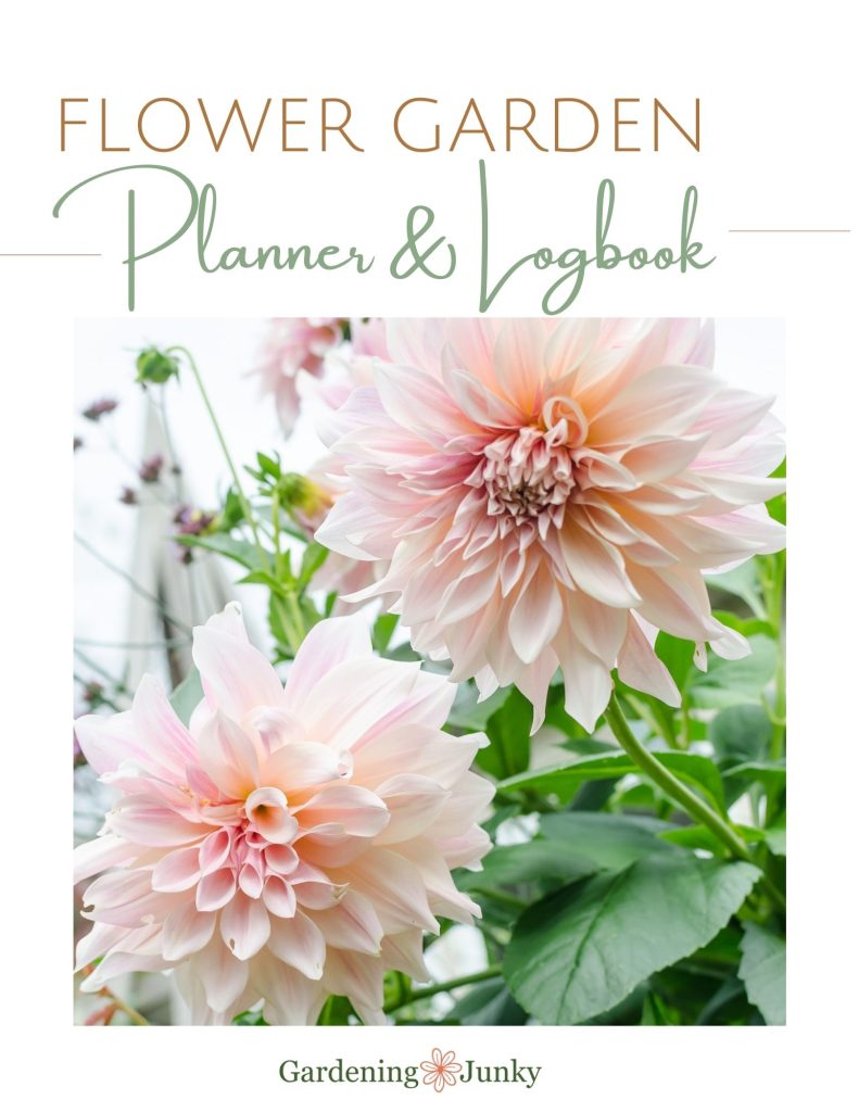Blooming Success: The Benefits of Using a Flower Garden Planner - Gardening  Junky